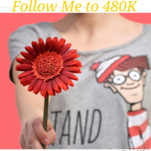 Other - Follow Me, Like, Follow and Share.